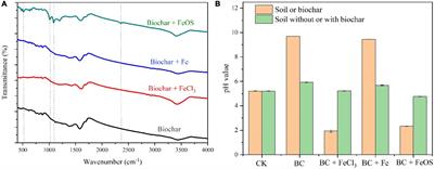 Iron-Modified Biochar Strengthens Simazine Adsorption and Decreases Simazine Decomposition in the Soil